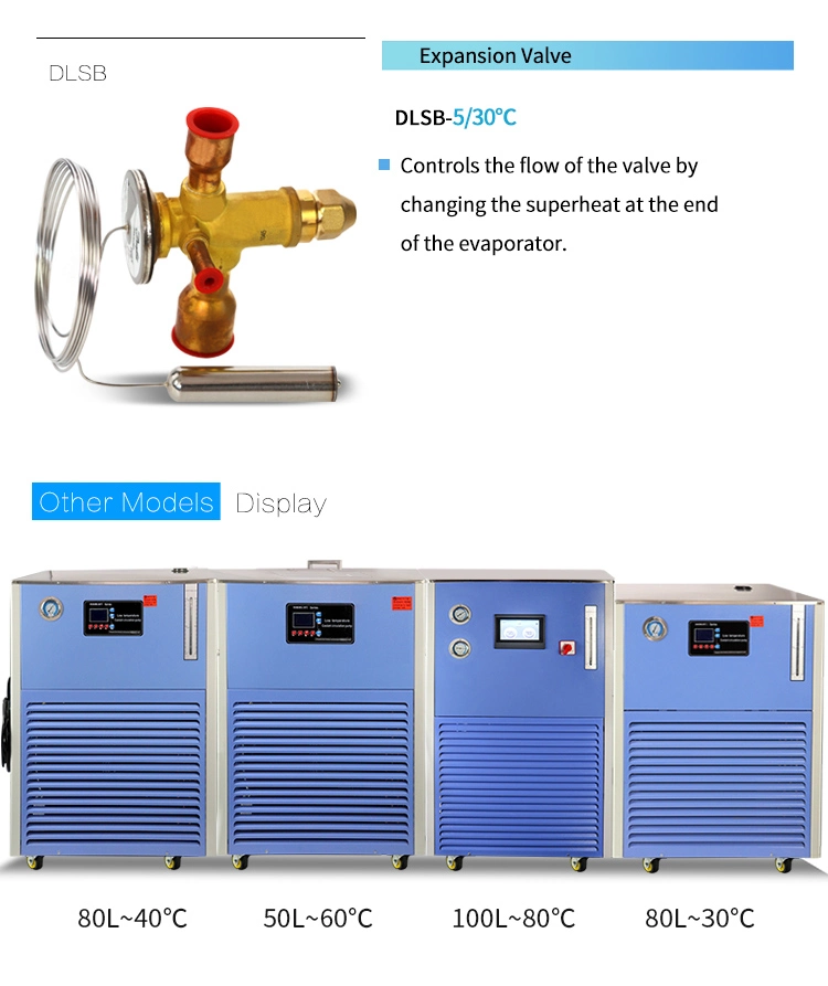 Lab Small Size Cryogenic Coolant Circulating Pump