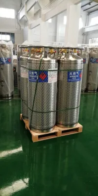 Cold Shipping Solution Dewar Liquid Nitrogen, Dewar Container