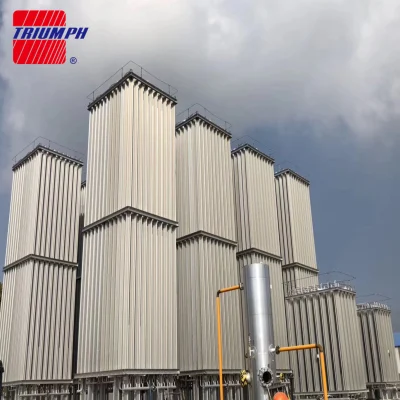 Cryogenic Liquid Oxygen Natural Gas Nitrogen Argon Ambient Air Vaporizer